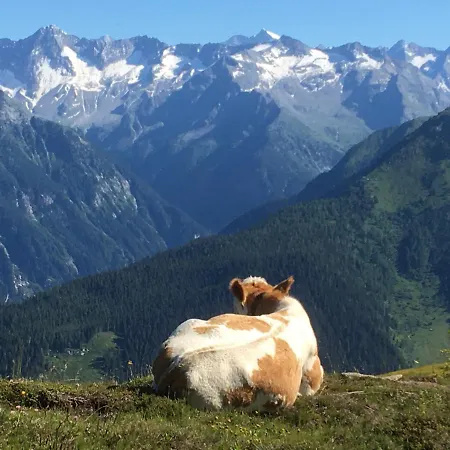Zillertal Apartmán Ramsau im Zillertal