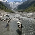 Zillertal شقة *