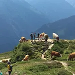 Zillertal شقة