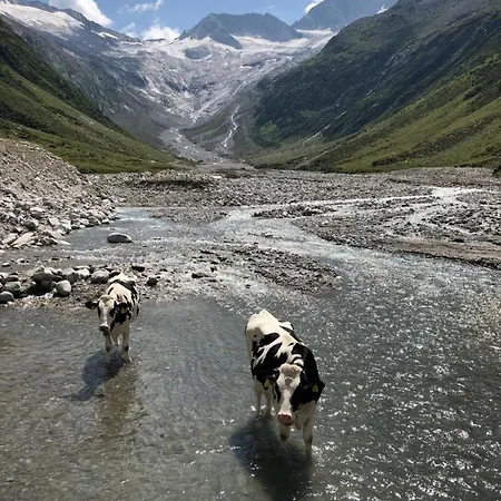 Zillertal דירה *