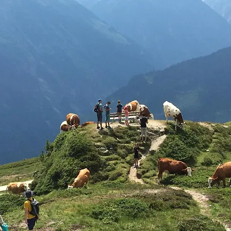 Zillertal Apartment